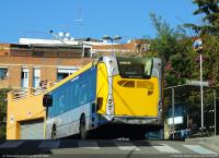 Final c. Florencia, feb. 2023