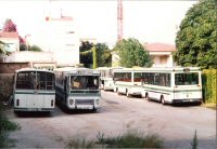Autobuses de la Empresa Casas. Foto Francesc Xandri González