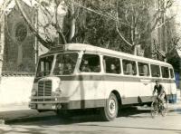 c. Campoamor, año 1953. AMDHG3-221 Foment Hortenc 