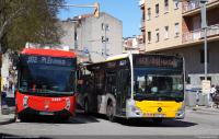 Pº Maragall, marzo 2025