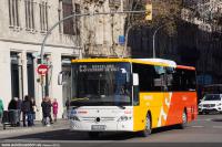 Pl. Catalunya, feb.2019