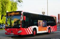 13 en Pg. Palmeres, oct.2022