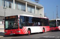 54 en c. Gaià de Torreforta, dic.2024