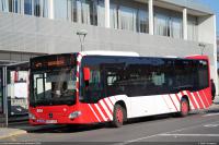 54 en c. Gaià de Torreforta, dic.2024