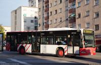 6 en Sant Pere i Sant Pau, dic.2024