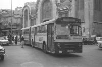Empresa Gasol. C. Colón. Mercado de Tarragona, abril 1976. Foto Miguel Llevat