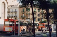 Foto Luís Cuesta, julio 1994. Web ARCA